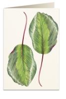 Opakowanie Karnet B6 + koperta 6016 Kalatea