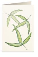 Opakowanie Karnet B6 + koperta 6017 Foglia tripartita