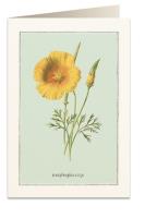 Opakowanie Karnet B6 + koperta 6021 Pozłotka