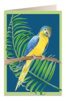 Opakowanie Karnet B6 + koperta 6050 Papuga