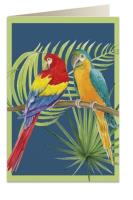 Opakowanie Karnet B6 + koperta 6051 Papugi