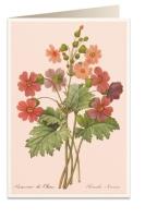 Opakowanie Karnet B6 + koperta 6091 Pierwiosnek