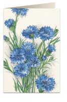 Opakowanie Karnet B6 + koperta 7514 Chaber