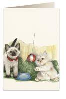 Opakowanie Karnet B6 + koperta 7525 Białe kotki