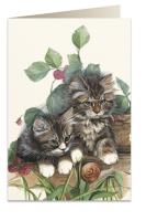 Opakowanie Karnet B6 + koperta 7538 Kotki