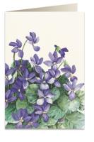 Opakowanie Karnet B6 + koperta 8035 Fiołki