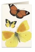 Opakowanie Karnet B6 + koperta 8037 Motyle
