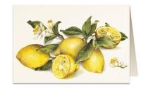 Opakowanie Karnet B6 + koperta 8903 Cytryna