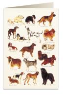 Opakowanie Karnet B6 + koperta 8948 Psy 2