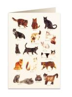 Opakowanie Karnet B6 + koperta 8949 Koty 2