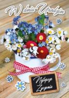 Okładka książki Karnet Urodziny GM-441