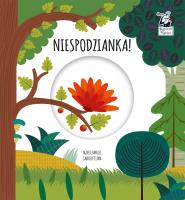 Niespodzianka Magiczne koło Kapitan Nauka. Autor: Clima Gabriele. SmakLiter.pl Okładka książki Niespodzianka Magiczne koło Kapitan Nauka