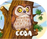 Okładka książki A Baby Owl w.ukraińska