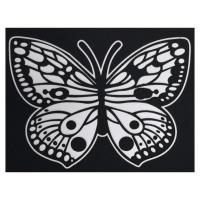 Opakowanie Aksamitna kolorowanka motyl