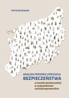 Analiza poziomu i poczucia bezpieczeństwa... Autor: Ostrowski Piotr. SmakLiter.pl Okładka książki Analiza poziomu i poczucia bezpieczeństwa..