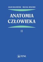 Anatomia człowieka Tom 2. Autor: Bochenek Adam, Reicher Michał. SmakLiter.pl Okładka książki Anatomia człowieka Tom 2