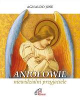 Okładka książki Aniołowie, niewidzialni przyjaciele