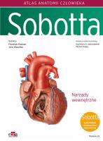 Atlas anatomii człowieka Sobotta. Łacińskie mianownictwo. Tom 2. Narządy wewnętrzne klatki piersiowe. Autor: Paulsen F., Waschke J.. SmakLiter.pl Okładka książki Atlas anatomii człowieka Sobotta. Łacińskie mianownictwo. Tom 2. Narządy wewnętrzne klatki piersiowe