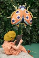 Opakowanie Balon foliowy biedronka 87x75cm mix