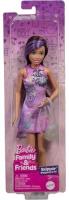 Opakowanie Barbie Family&Friends Lalka Skipper JBF41