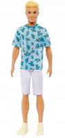 Opakowanie Barbie Fashionistas, Ken Stylowy HJT10