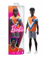 Opakowanie Barbie Fashionistas, Ken Stylowy HPF79