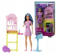 Opakowanie Barbie Fashionistas, Skipper Pierwsza praca HKD78