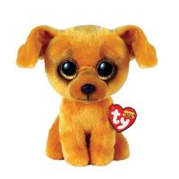 Opakowanie Beanie Boos Zuzu - pies 15cm