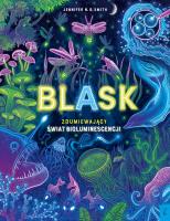 Blask. Autor: Smith Jennifer N.R.. SmakLiter.pl Okładka książki Blask
