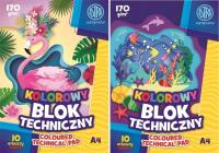 Opakowanie Blok kolorowy barwiony A4/10K 170g (10szt)