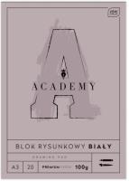 Opakowanie Blok rysunkowy A3/20K Academy (10szt)