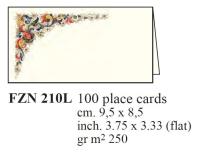 Opakowanie Box 100 Winietek 9,5x8,5cm FZN 210L