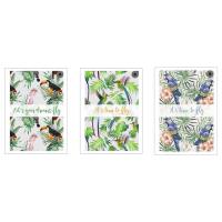 Opakowanie Brulion A4/100K kratka Flow (5szt)