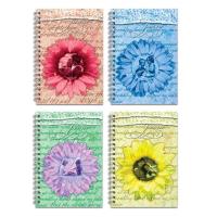 Opakowanie Brulion B5/160K na spirali TW kratka poemat