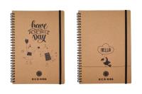 Opakowanie Brulion B5/66K kratka Eco kids (10szt)