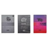 Opakowanie Brulion B5/96K kratka pastNOWfuture (5szt)