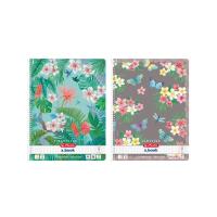 Brulion na spirali A4/80K kr Ladylike (5szt). Wydawca: HERLITZ. SmakLiter.pl Opakowanie Brulion na spirali A4/80K kr Ladylike (5szt)