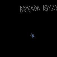 Brygada Kryzys (na 40-lecie) LP. Autor: Brygada Kryzys. SmakLiter.pl Okładka książki Brygada Kryzys (na 40-lecie) LP