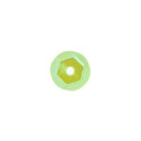 Cekiny tęczowe T 20 zielony. Wydawca: Brewis. SmakLiter.pl Opakowanie Cekiny tęczowe T 20 zielony