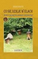 Co się dzieje w ulach. Autor: Michalina Stefanowska. SmakLiter.pl Okładka książki Co się dzieje w ulach