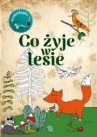 Co żyje w lesie Kolorowanka. Autor: Wojciech Gil. SmakLiter.pl Okładka książki Co żyje w lesie Kolorowanka