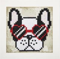 Opakowanie Cool Sunnies Quick Dotz