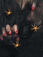 Opakowanie Czarna pajęczyna z pająkiem