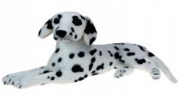 Opakowanie Dalmatyńczyk 47cm