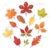 Opakowanie Dekoracje jesienne - duże liście 12el