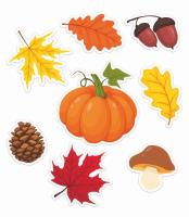 Opakowanie Dekoracje okienne jesienne 8szt