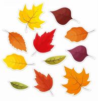 Opakowanie Dekoracje okienne jesienne - Liście 11szt