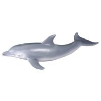 Okładka książki Delfin butlonosy