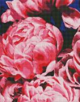 Opakowanie Diamentowa mozaika - Aksamitne piwonie 40x50cm