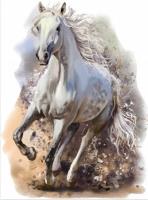 Opakowanie Diamentowa mozaika Biały koń NO-1009428